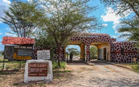 Top Reasons Why You Should Visit Samburu National Reserve