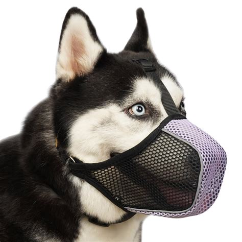 Dog Muzzle, Mesh Soft Muzzle for Large Medium Small Dogs for Scavenging Grooming Biting Chewing ...