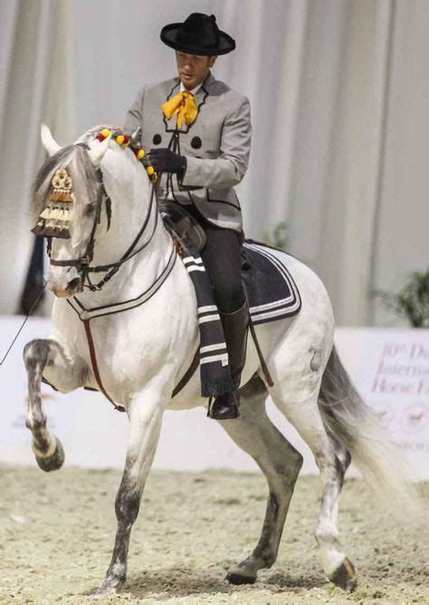 84 Working equitation clothes ideas in 2021 | equitation, horses, andalusian horse