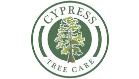 ᐈ Cypress Logo: 20+ Emblem Examples, Tips on Creation | Logaster
