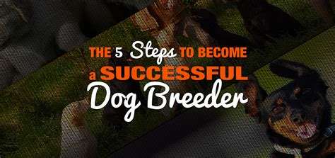 How To Start Breeding Dogs In 5 Easy Steps