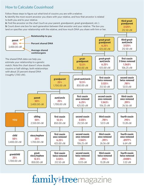 Free Printable Cousin Chart Templates [PDF, Excel, Word]