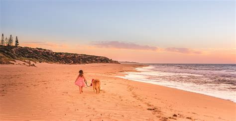 Mandurah Beaches & Surfing - Visit Mandurah