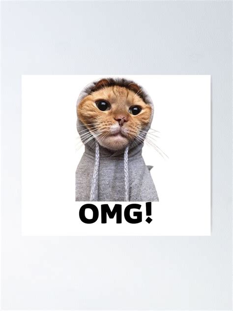 "OMG Cat Meme" Poster by mony127 | Redbubble