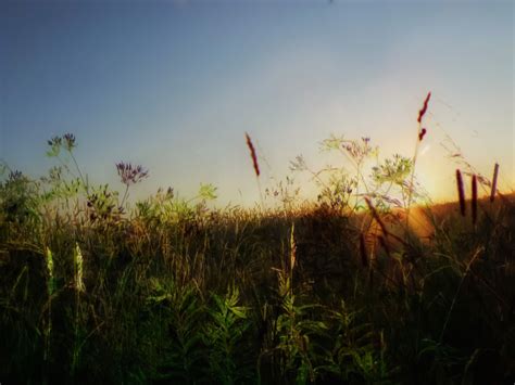 sunset in the meadow | Landscape, Natural landmarks, The meadows