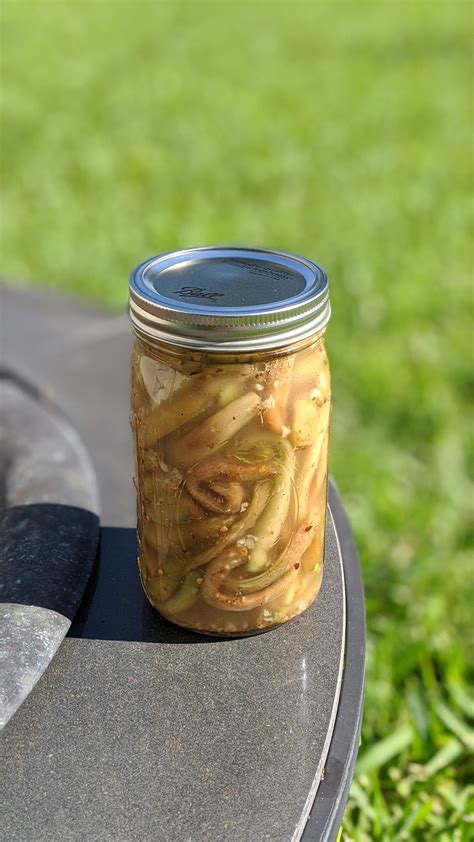 Pickled Eggplant Italian style : r/pickling