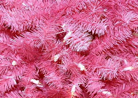 Pink Christmas Tree Background Stock Image - Image: 11095211