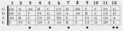 BASS/MASTER's BASS GUITAR LEARNING CENTER: Tuning your Bass Guitar