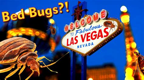 Las Vegas has a Bed Bug Problem?! - YouTube