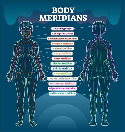 Acupressure Chart, Acupuncture Points Chart, Reflexology Chart, Acupressure Massage, Tcm ...