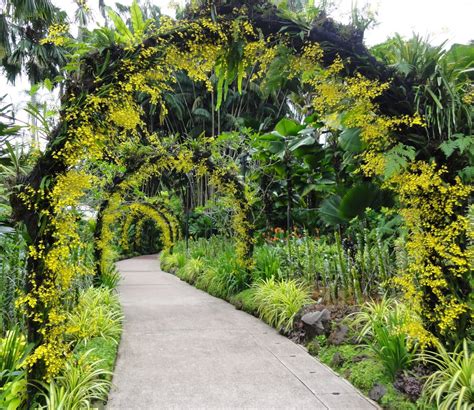 Singapore Botanic Gardens: photo essay – Gwenfar's Garden and other musings