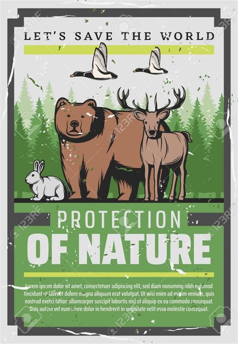 Protect nature, save wild animals vintage poster. Vector Wildlife and ...