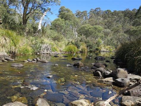 Cobungra River Circuit -April 2015 | Bayside Bushwalking Club