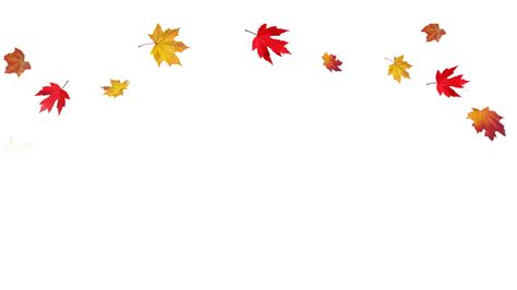 Autumn leaf color Clip art - Transparent Fall Leaves Border PNG png download - 1600*900 - Free ...