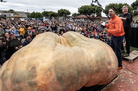 2,749-pound pumpkin breaks world record at California weigh-off