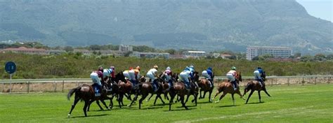 South African Horse Racing (Race Calendar & Guide) - Racenet