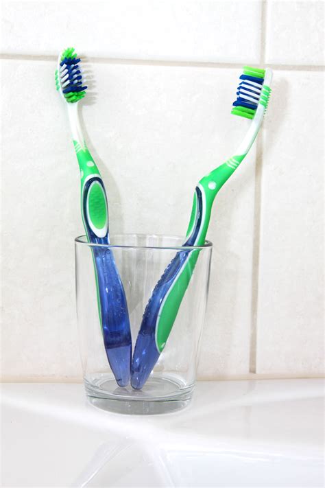 Toothbrushes Free Stock Photo - Public Domain Pictures