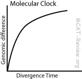 Evolution - MCAT Review