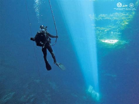 Police take deep dive into training | The SE Voice