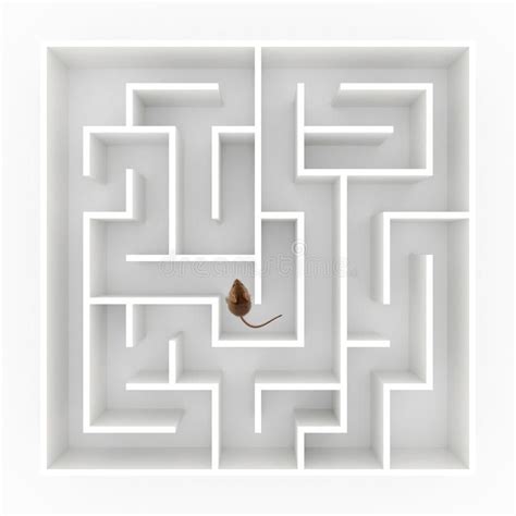 Mouse in maze. Top view of a tiny mouse (mus musculus) finding his way ...