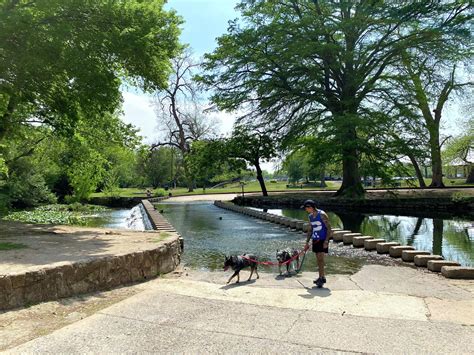 The history of Brackenridge Park and why it's so popular today