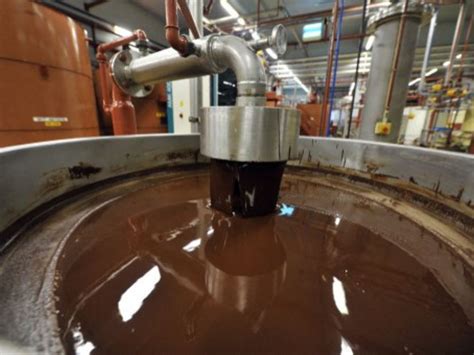 Salmonella Found In World Biggest Chocolate Factory What We Know So Far Wieze Belgium Barry ...