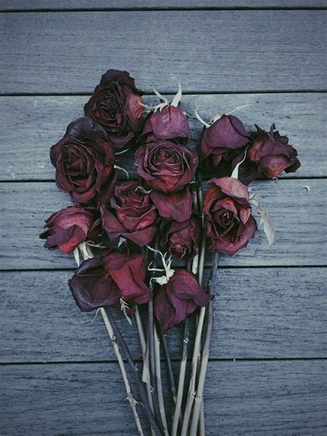 Dead Roses Aesthetic Wallpapers - Top Free Dead Roses Aesthetic Backgrounds - WallpaperAccess