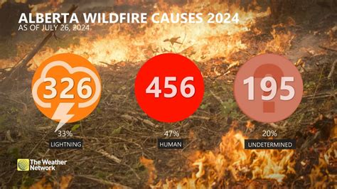 One-third of structures in Jasper damaged by massive wildfire - The ...