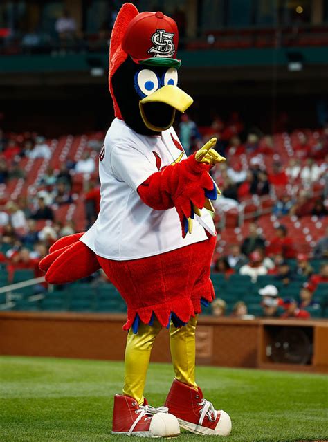 Ranking the MLB Mascots - Sports Illustrated