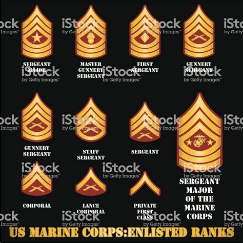 United States Marine Corps Insignia