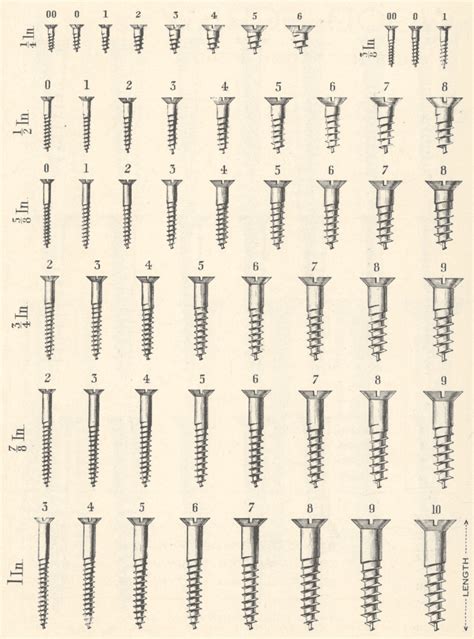 Screw Size Comparison Chart - vrogue.co