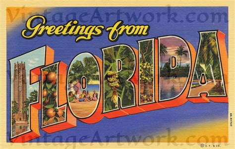 Greetings From Florida Postcard Front, Digital Download, Curt Teich ...