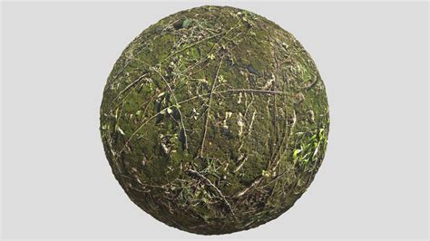 Forest Ground02 - Download Free 3D model by Publicdomaintextures [d2a5730] - Sketchfab