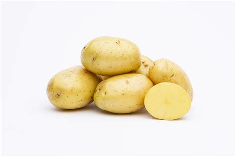 Yellow Potato Varieties