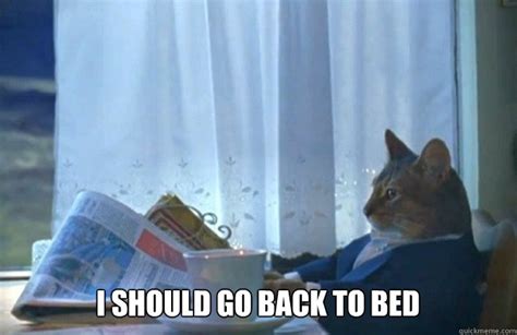 I should go back to bed - Sophisticated Cat - quickmeme