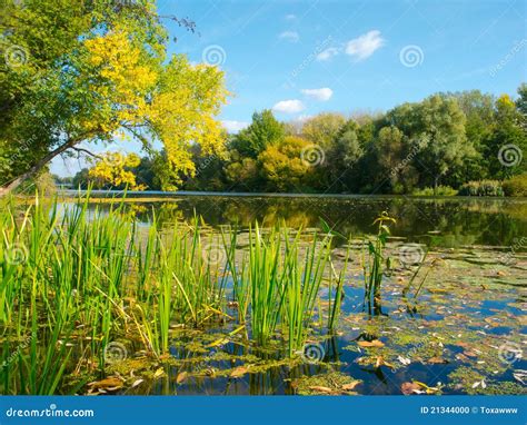 View of Psel River stock photo. Image of area, forest - 21344000