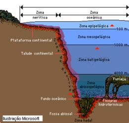 Plataforma Continental y Fondo Oceánico - EcuRed