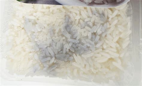 Chromobacterium Subtsugae & Blue Rice Exposure | Food Safety