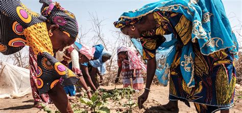 News | FAO in North America | Food and Agriculture Organization of the United Nations