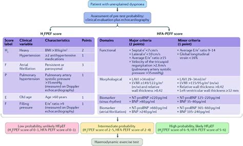 Noninvasive diagnostic approaches to diagnose HFpEF in patients with ...