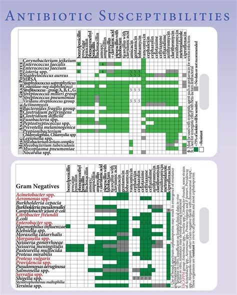 Antibiotic Susceptibility (Antibiogram) Lanyard Card