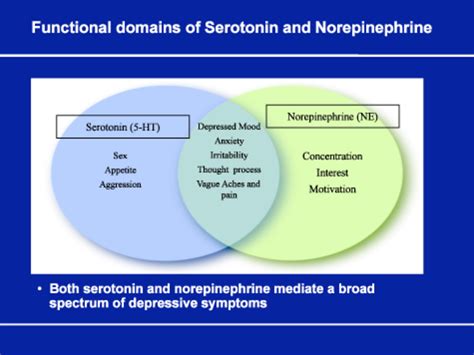 Mood Disorders: An Overview and Definitions - HubPages