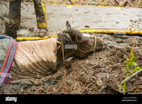 Stuck in mud hi-res stock photography and images - Alamy