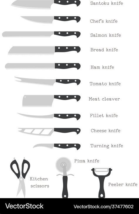 Kitchen Knives Various Types Of Chef's Blades Diagram | ubicaciondepersonas.cdmx.gob.mx