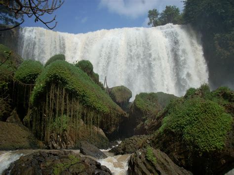 Chasing Da Lat waterfalls, eating insects and drinking poop coffee - Da ...