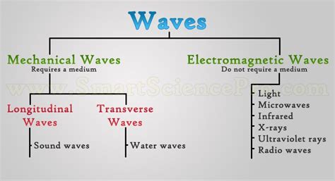 Science Blog: Different Types of Waves and How They Travel: Weekly Blog #17