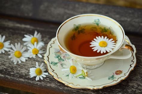 12 Amazing Benefits of Chamomile Tea for Health, Hair and Skin | Well Being Tips