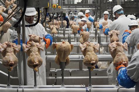 USDA getting tougher on salmonella in chicken products | AP News