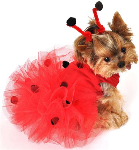 lady bug | Puppy halloween costumes, Pet halloween costumes, Dog ...