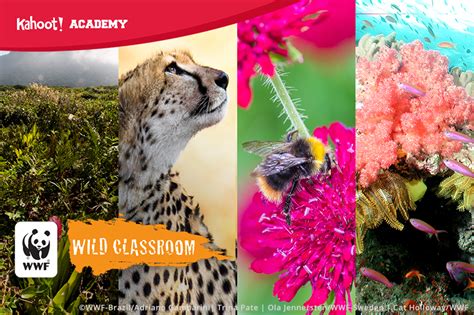 Discover the wonders of nature with World Wildlife Fund on Kahoot! Academy